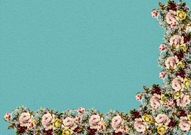 flower plant nature background