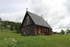 village green grass