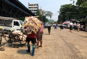 Man carrying bunch of dead chickens on street market