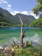 Jiuzhaigou The Scenery Water