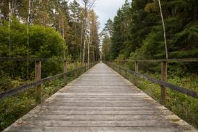 Away Web Moor Target