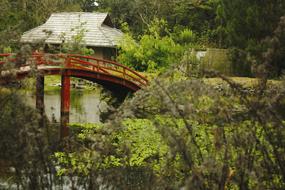 Nature Wood Tree Body Of