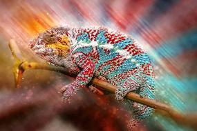 Animals Reptile Schuppenkriechtier