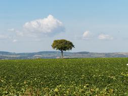 Landscapes Auvergne Nature