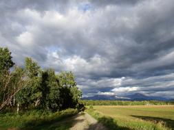 Field Forest Clouds Bad