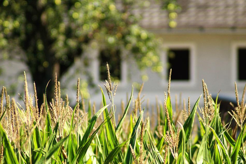 Farmhouse Land Welcome To