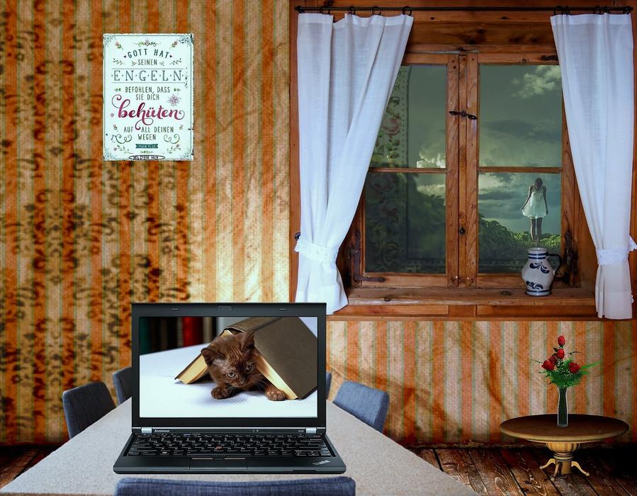 Window Curtain Furniture