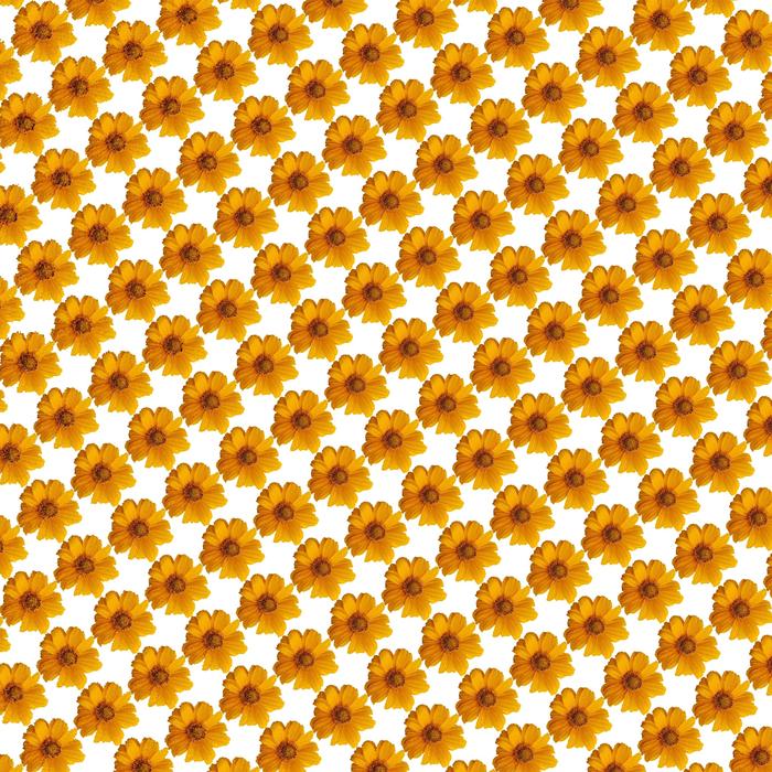 pattern background wallpaper flower