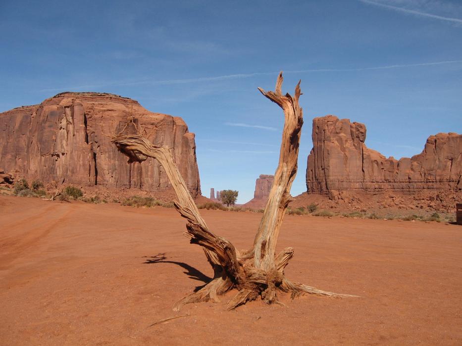 Usa Landscape