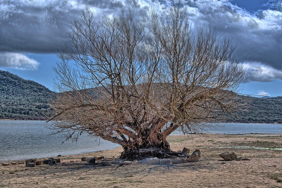 Body Of Water lake Nature Landscape