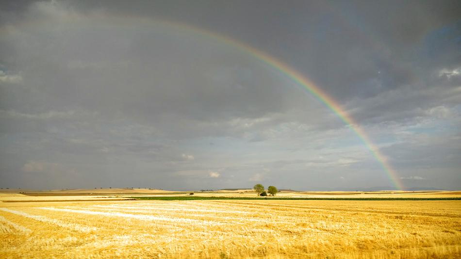 Field Castilla at Rainbow weather