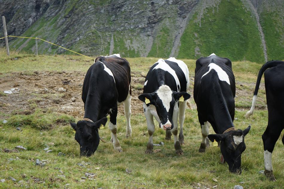 Switzerland Hiking Mountains