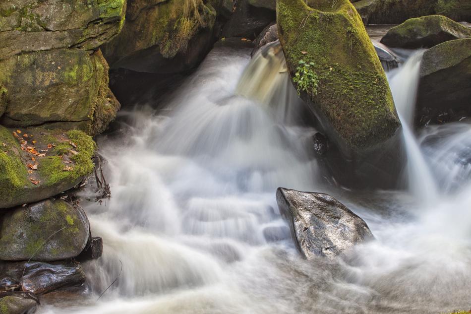 Water Nature Summer