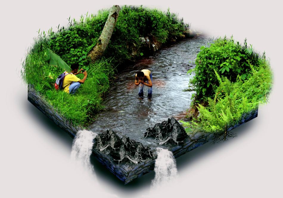 Nature Water Flora