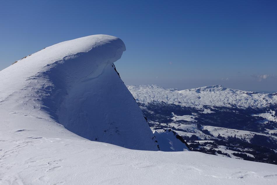 Snowdrift Woe Snow