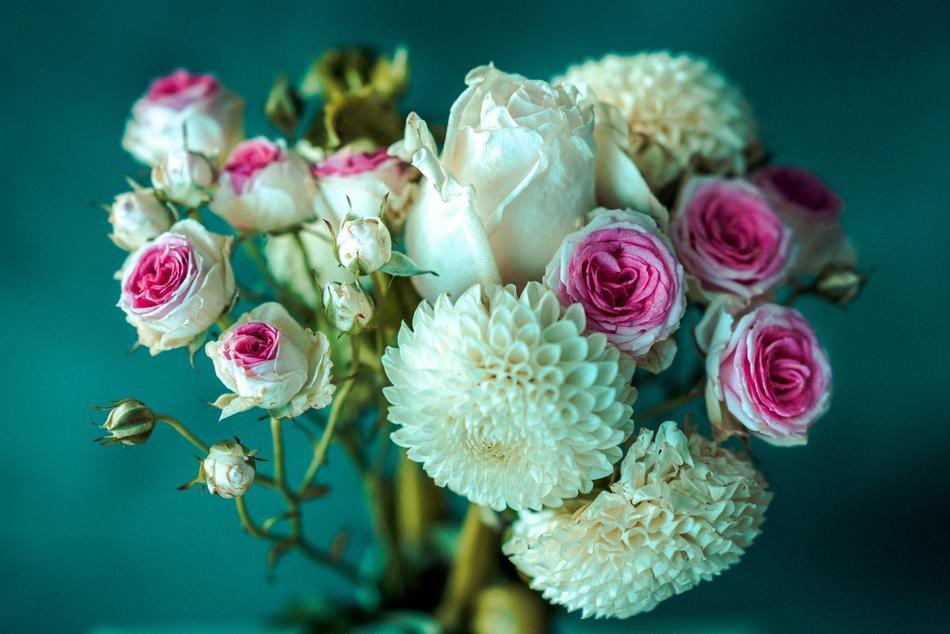 Flower Floral Bouquet