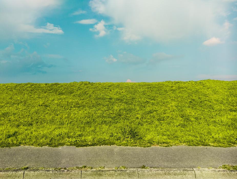 Sky Texture Green