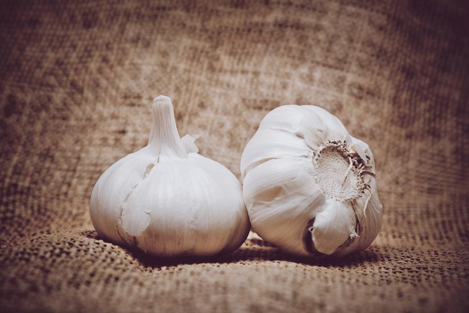 white garlic fruits on wooden background