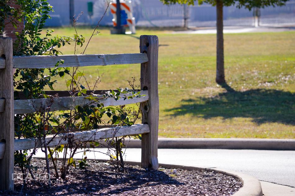 Fence Post Mulch
