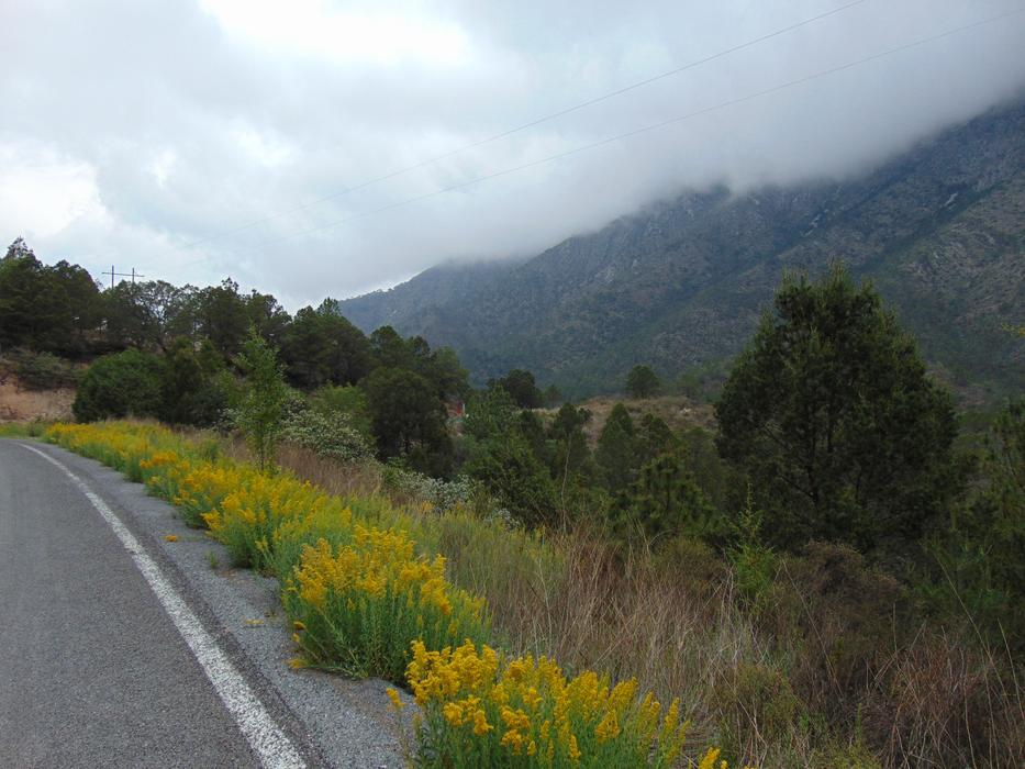 Highway Nature Wallpaper