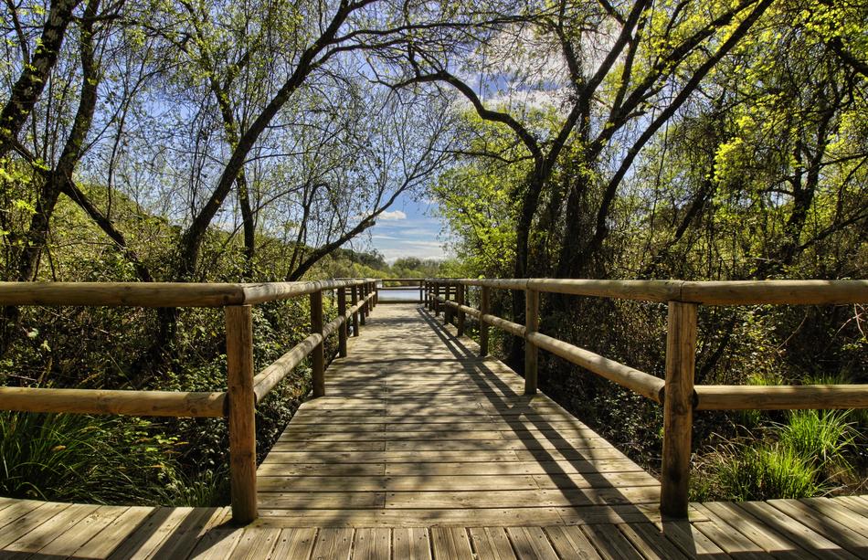 Donana Natural Park Gateway