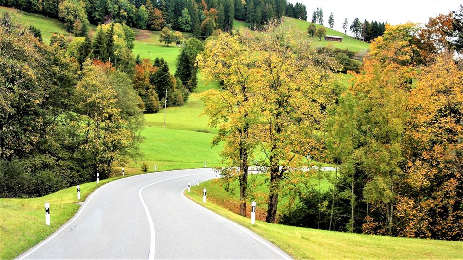 Highway Way Autumn Gold