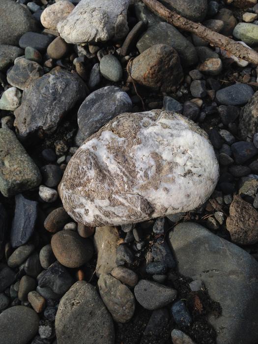 Rock on Stonesq