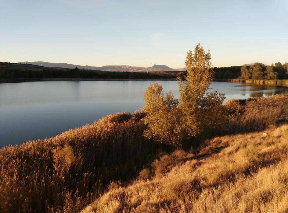 Landscape of Lake coastline