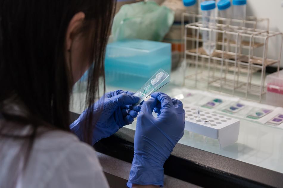 diagnostician in the laboratory