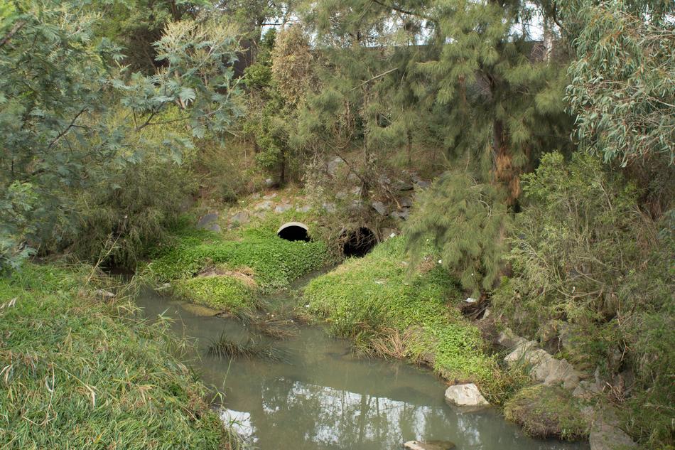 River Tunnels Nature