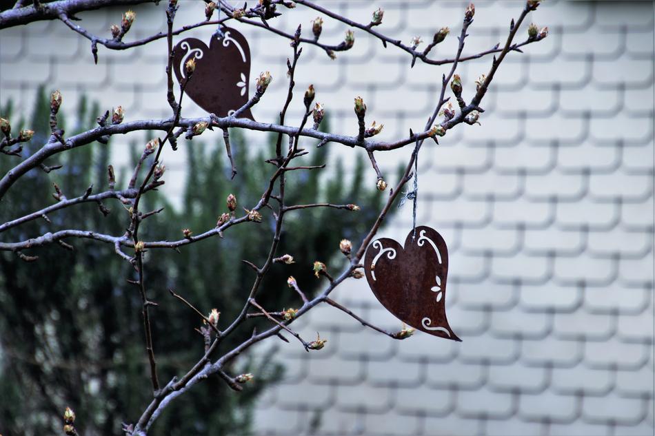 Nature Decoration Garden