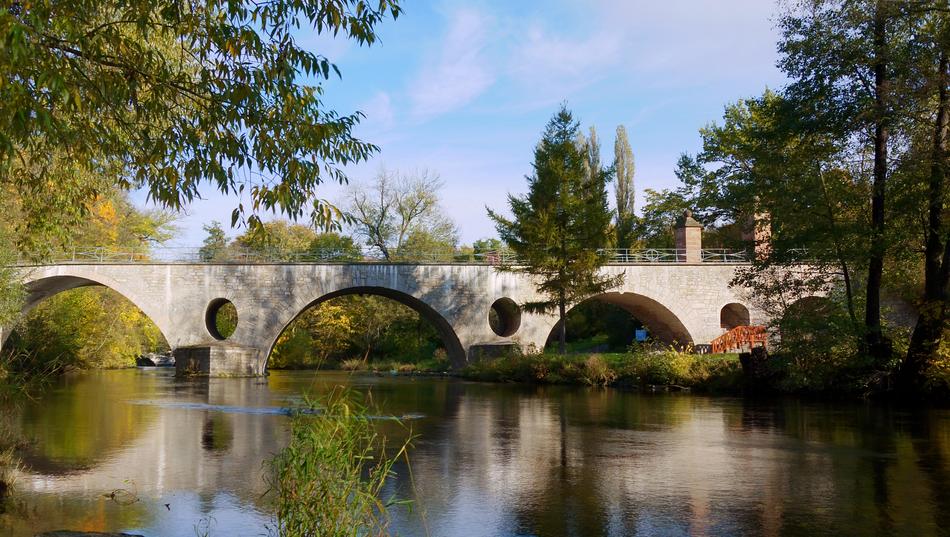 Waters River Nature