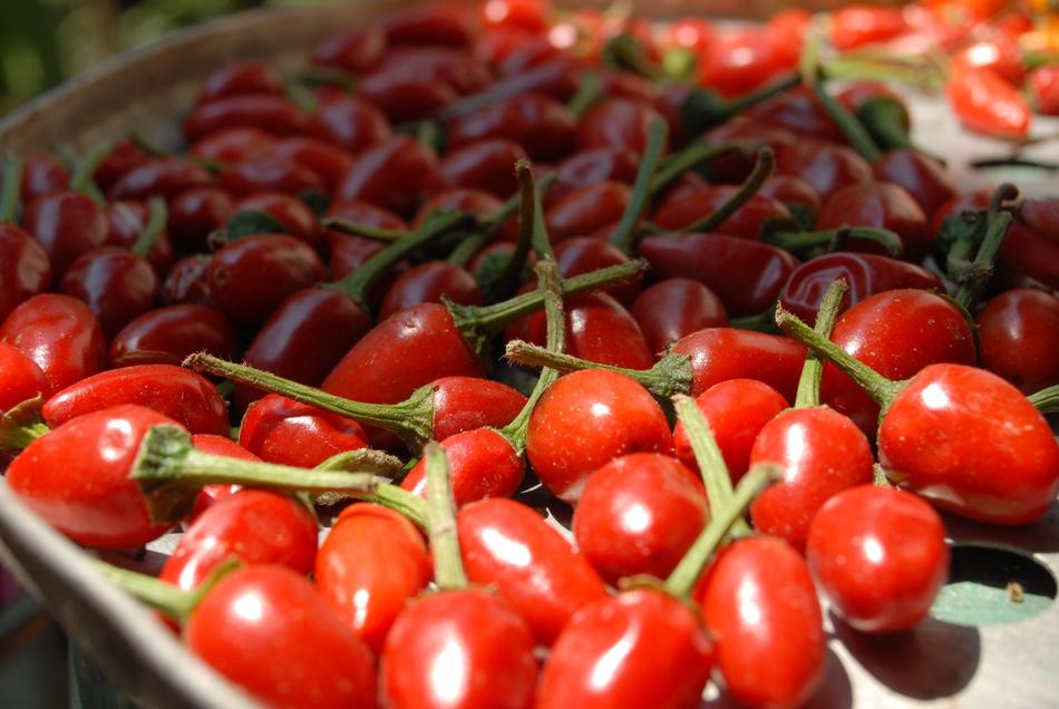 Chile Chiles