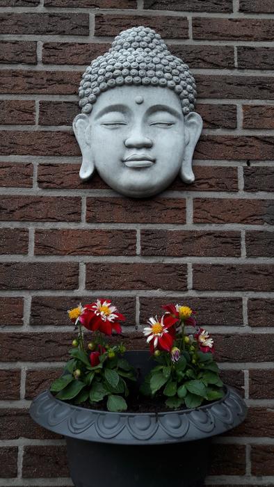 Buddha Religion Face