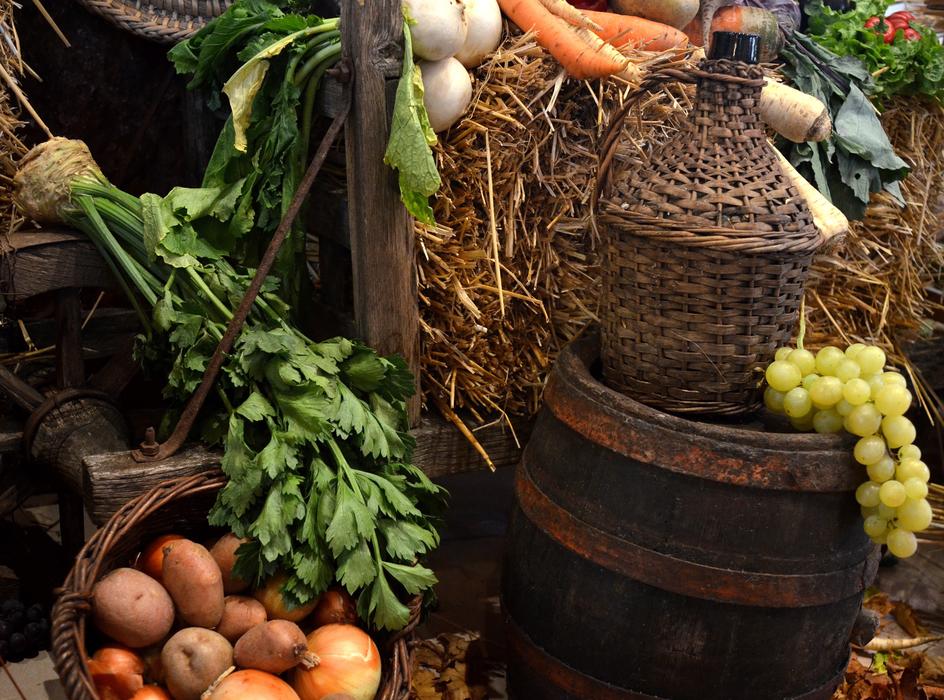 fruit and vegetable harvest
