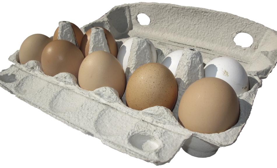 fresh eggs in a box