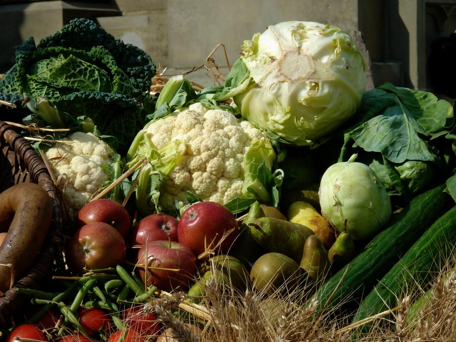 Thanksgiving Pumpkins Vegetables