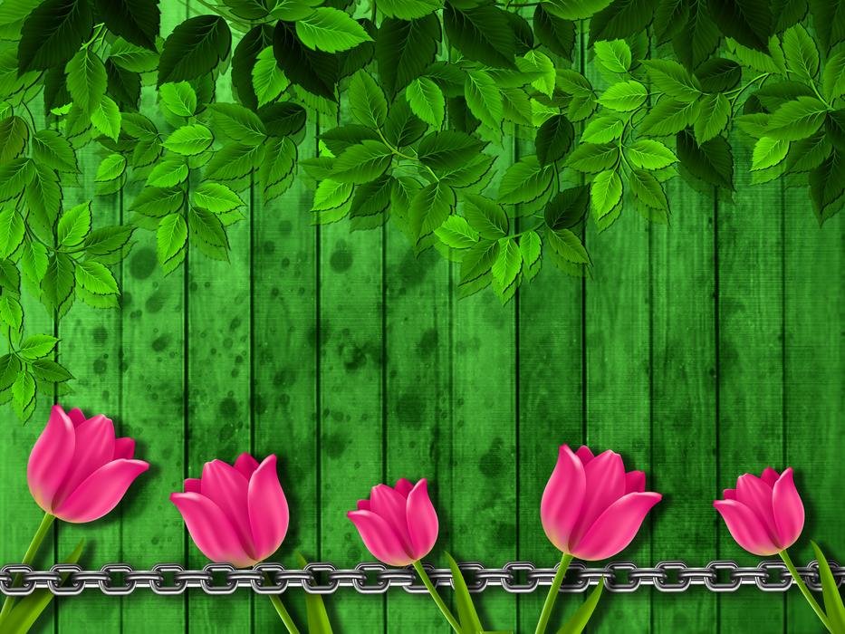 background reason texture tulips