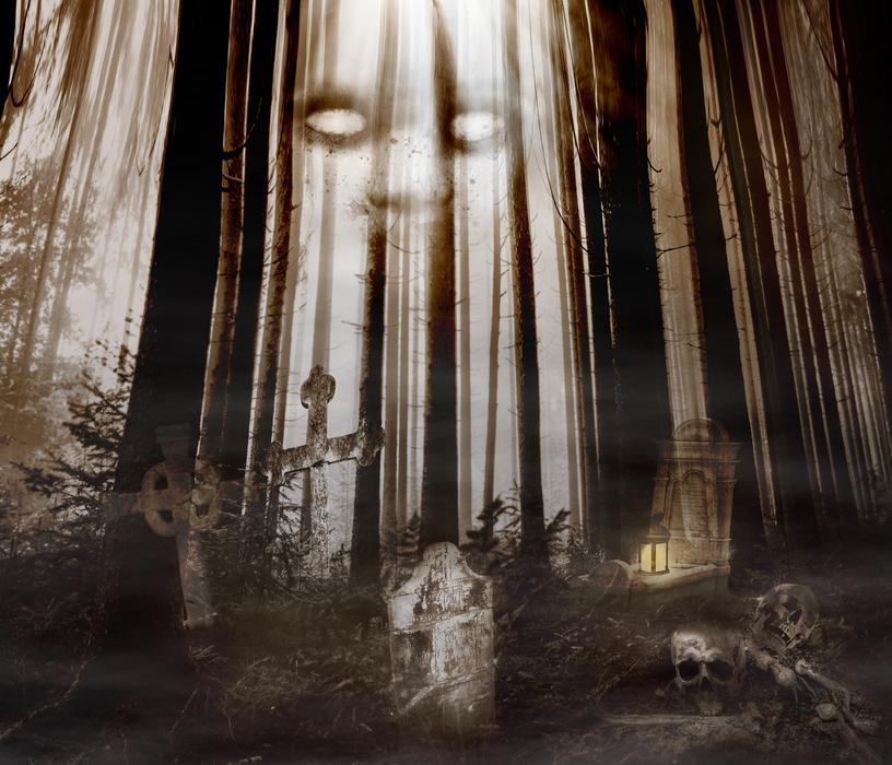 Graves Forest Creepy