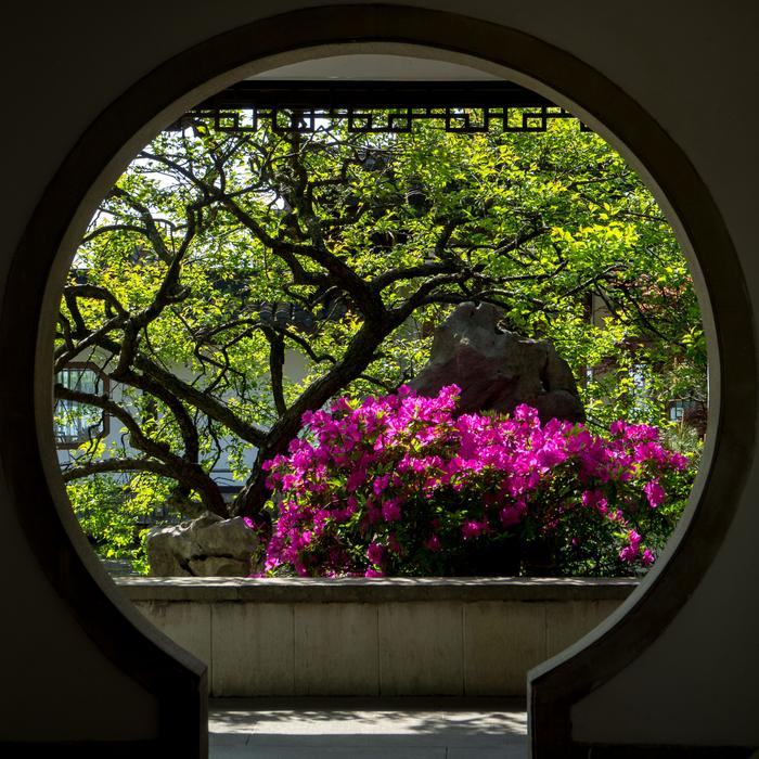 Flower Garden Circle