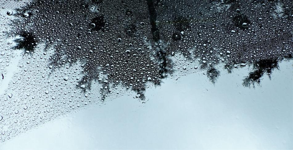 No Person Spring Rain