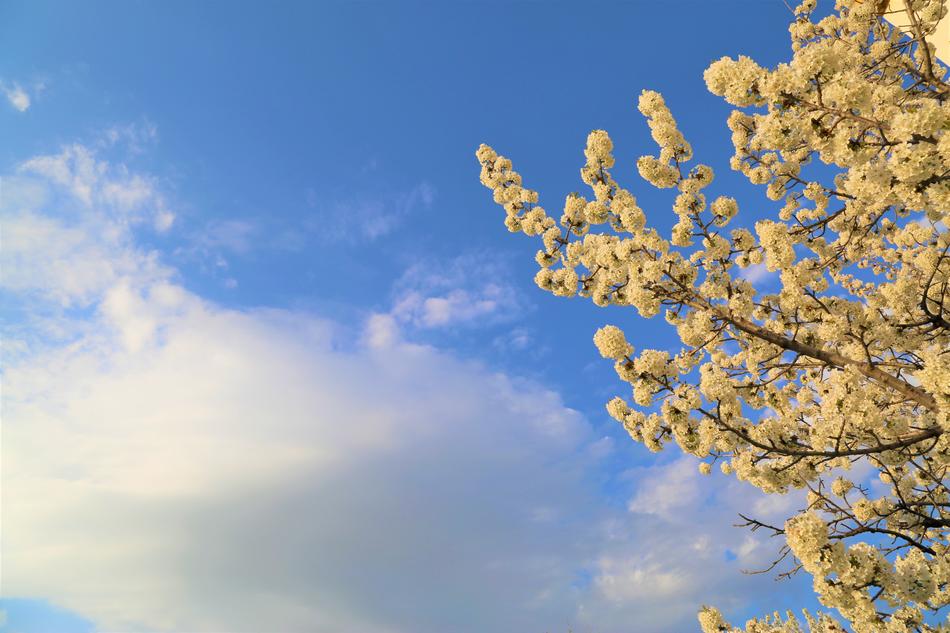 Nature Sky Blue