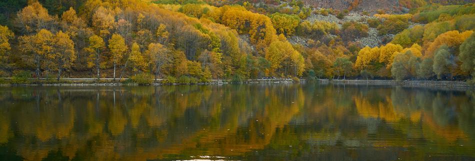 Autumn Season Landscape