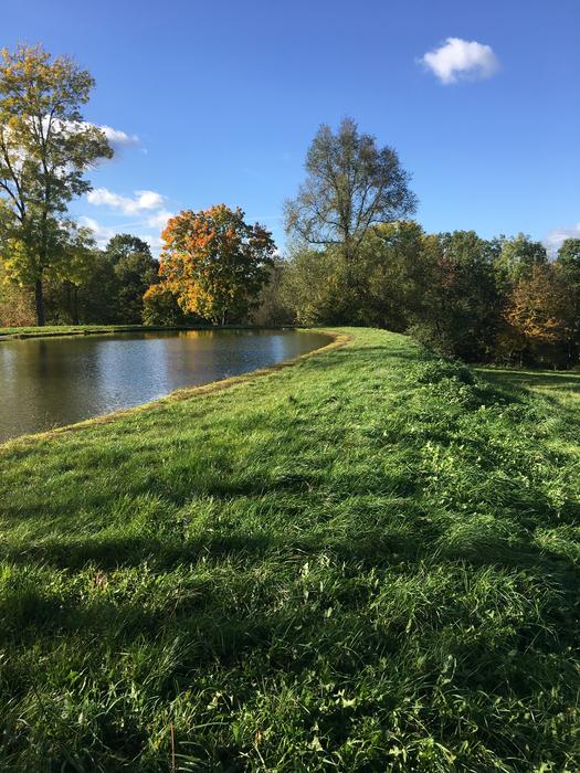 Autumn Weather Gold