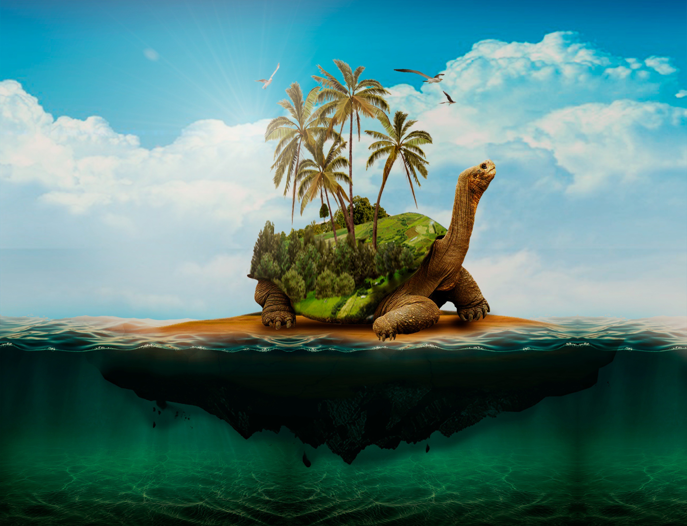 Body Of Water Mar Ocean free image download