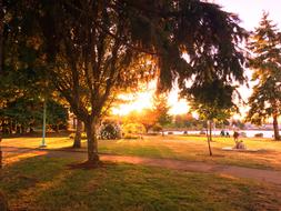 Park Sunset Walk