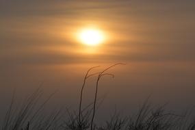 Sunset Dawn Landscape