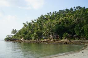 Waters Nature Tropical