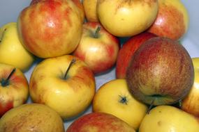 delicious fresh apples are healthy