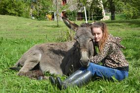 Girl Donkey green grass